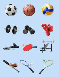 B-sports 乒乓球台的底线叫什么
